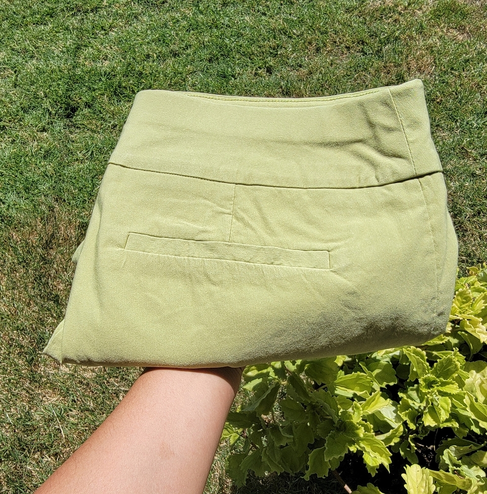 New York & Company STRETCH | Light Green Stretch Shorts Womens Medium